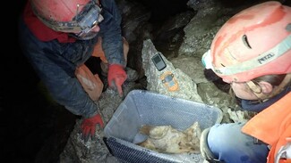Οστά μαμούθ και άλλων ζώων βρέθηκαν σε εργοτάξιο στη Βρετανία