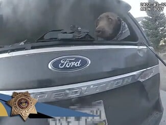 Αστυνομικός έσωσε σκύλο από φλεγόμενο αυτοκίνητο: «Το μόνο που με ένοιαζε ήταν να βγει έξω»