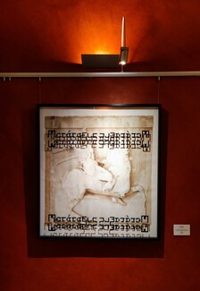 Αμαζονομαχία της Clara Carvajal