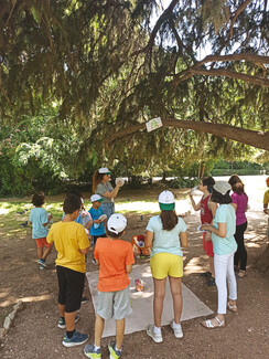 Summer Camp στο Μουσείο Κοτσανά