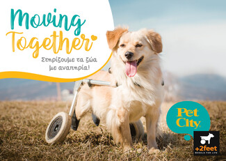 Pet City: Αct Pawsi+ive Moving Together 