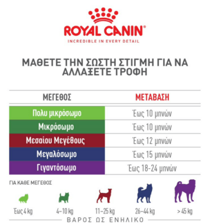 Κατοικίδιο και ενηλικίωση: Κάθε πότε αλλάζουμε τροφή;
