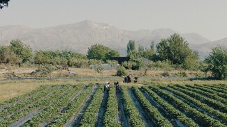 H εποχή της αλλαγής: Η μείωση σπατάλης τροφίμων που ξεκίνησε από τις κουζίνες ελληνικών ξενοδοχείων