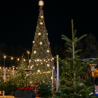 Christmas Market @ Golden Hal