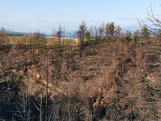 H ζωή μετά τη φωτιά: Ένα οδοιπορικό στη Βόρεια Εύβοια με την υποστήριξη της ΔΕΗ