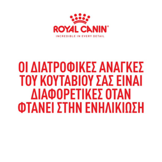 Πότε και γιατί αλλάζουμε τη διατροφή του σκύλου μας;