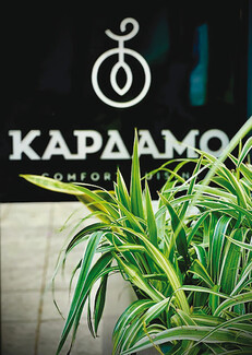 Κάρδαμο: Μεταφέρει την ελληνική παράδοση σε δημιουργικές συνταγές