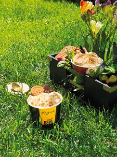 Kayak Ice Cream