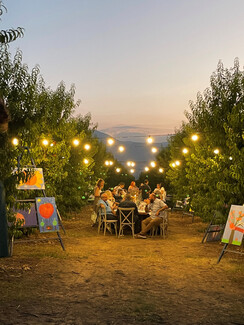 Peach of Art: Ένα απόγευμα με την BASF Ελλάς, συζητώντας για τη σημασία της γεωργίας