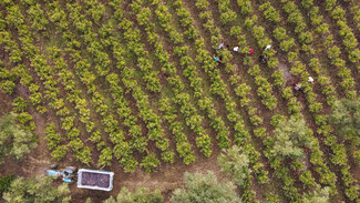 Messinia Terroirs