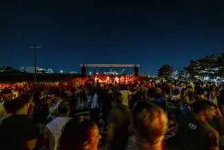 AmpeliFest 2024