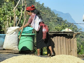 Cafeistas: Ο καφές Guatemala Woman's Coffee, που αγαπήθηκε πολύ, είναι ξανά διαθέσιμος
