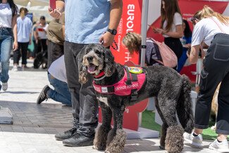 To Woof Festival επιστρέφει για ένα ΣΚ γεμάτο σκυλιά και ιδιοκτήτες που τα λατρεύουν