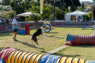 To Woof Festival επιστρέφει για ένα ΣΚ γεμάτο σκυλιά και ιδιοκτήτες που τα λατρεύουν