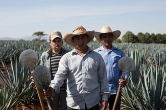 Altos Paloma Por Favor: Η απόλυτη εμπειρία Paloma από την Altos Tequila