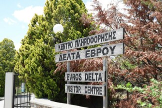 Εβροφάρμα: Ένα ταξίδι στην καρδιά της ελληνικής παραγωγής με τη Lidl Hellas