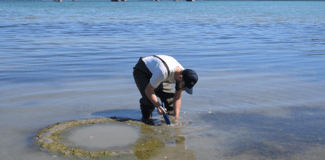 Αποκαθιστώντας τα θαλάσσια λιβάδια zostera: Η συνεργασία Nestlé Ελλάς και Εναλεία