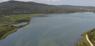 Αποκαθιστώντας τα θαλάσσια λιβάδια zostera: Η συνεργασία Nestlé Ελλάς και Εναλεία