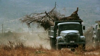 Τιμητικός Χρυσός Αλέξανδρος και αφιέρωμα στον Γιώργο Τσεμπερόπουλο
