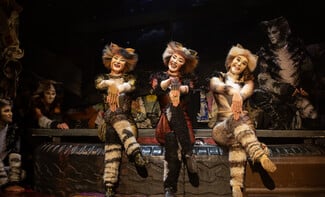 Το θρυλικό CATS έρχεται σε Αθήνα & Θεσσαλονίκη – και είναι πιο εντυπωσιακό από ποτέ
