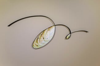 Ανοικτό κάλεσμα για το Βραβείο Τέχνης 2026 Ιδρύματος Γ. & Α. Μαμιδάκη