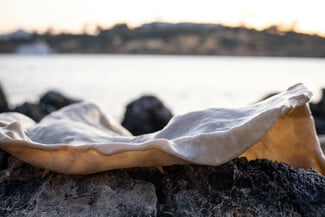 Ανοικτό κάλεσμα για το Βραβείο Τέχνης 2026 Ιδρύματος Γ. & Α. Μαμιδάκη