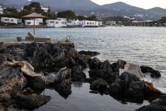 Ανοικτό κάλεσμα για το Βραβείο Τέχνης 2026 Ιδρύματος Γ. & Α. Μαμιδάκη