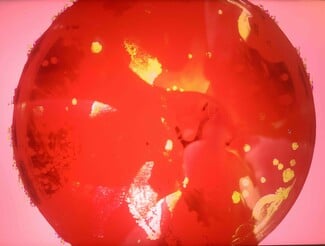 MIRfestival 2025 | Περιπέτειες σκηνής/εικόνας: Ένας κόσμος που συνταράζει την πόλη σιωπηλά και εκκωφαντικά