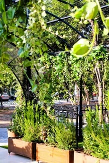 Ο Ρυθμός ξαναπαίρνει ζωή