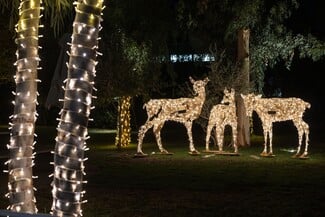 Χριστουγεννιάτικη λάμψη στο The Ellinikon Experience Park