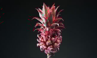 Δεν είναι τα γαριφαλάκια που ήξερες από τη μαμά σου