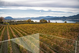 Νεαρός Τσαπουρνάκος από το Κτήμα Βογιατζή