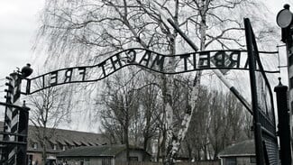 οι ταινίες της εβδομάδας