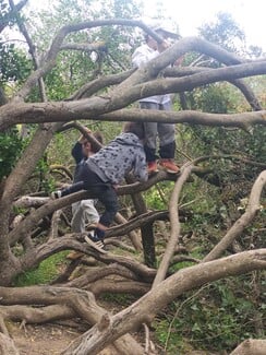 Παιδόκηπος Καρυδιά: Ένα ξεχωριστό νηπιαγωγείο που αγαπάνε παιδιά και γονείς 