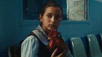 Οι ταινίες της εβδομάδας