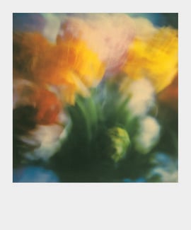 Ελισάβετ Μωράκη It’s Always the Sun 