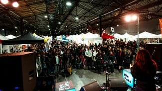 Cat Festival 2026: Η περιέργεια γιορτάζει τη γάτα