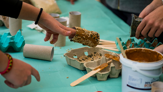 Είναι cool να νοιάζεσαι, είναι cool να είσαι Eco-School