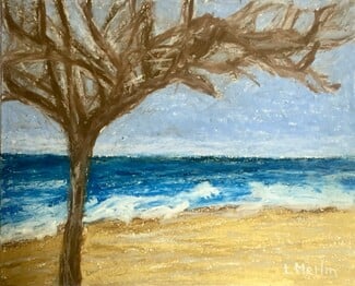 P I C T U R E S: Εικαστική έκθεση της Λίζα Μέρλιν - Βασιλάτου στη Δημοτική Πινακοθήκη Λέφα