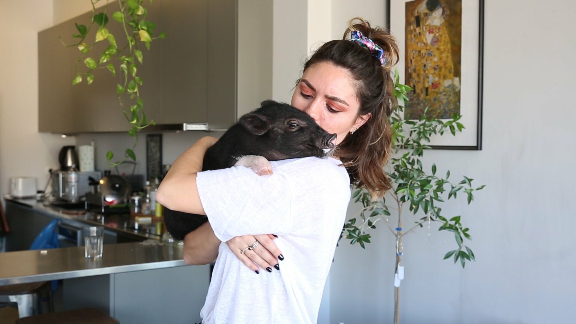 Ένα γουρουνάκι κι ένας σκύλος συγκατοικούν με την Αριάννα σε ένα διαμέρισμα στου Ψυρρή