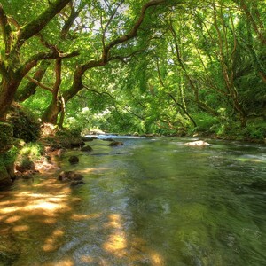 Κολυμπώντας στα δροσερά και σκιερά ποτάμια της Ελλάδας