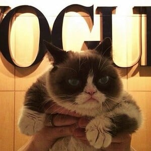 Η Grumpy Cat στη Vogue