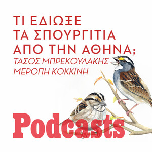 ΠΕΜΠΤΗ 25/11 - ΕΧΕΙ ΠΡΟΓΡΑΜΑΤΙΣΤΕΙ-ΗΧΗΤΙΚΟ ΣΕ ΛΙΓΟ-Μα γιατί εξαφανίστηκαν τα σπουργίτια από την Αθήνα;