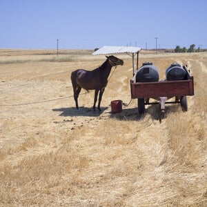 Το καλοκαίρι (16) 