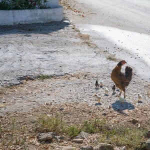 Το καλοκαίρι του Σπύρου Στάβερη (25)