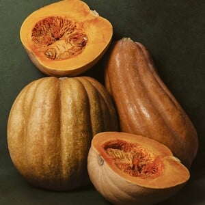 Τώρα που πέρασε το Halloween, ας μιλήσουμε για κολοκύθες