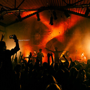 Αυτοοργάνωση, πολυμορφία και δημιουργία