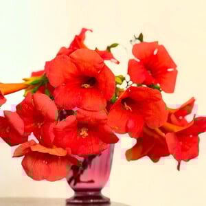 Εγώ τις νύχτες δεν τις ήξερα 