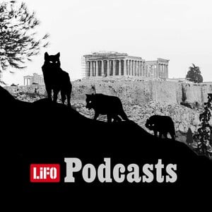 Λύκε, λύκε, είσαι εδώ; Όταν η άγρια ζωή φτάνει στην αυλή μας