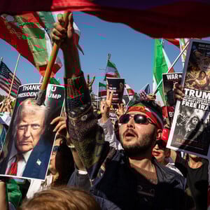 Welcome to the Jungle